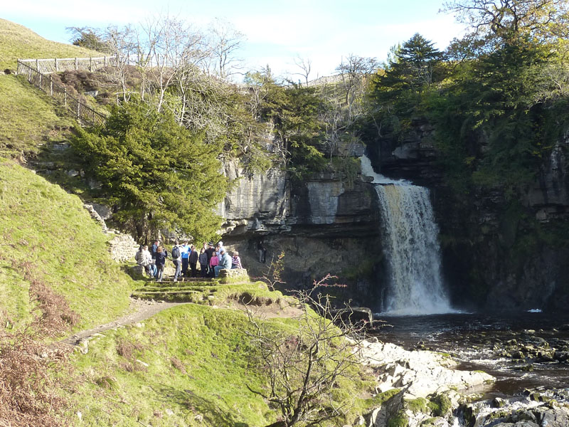Thornton Force
